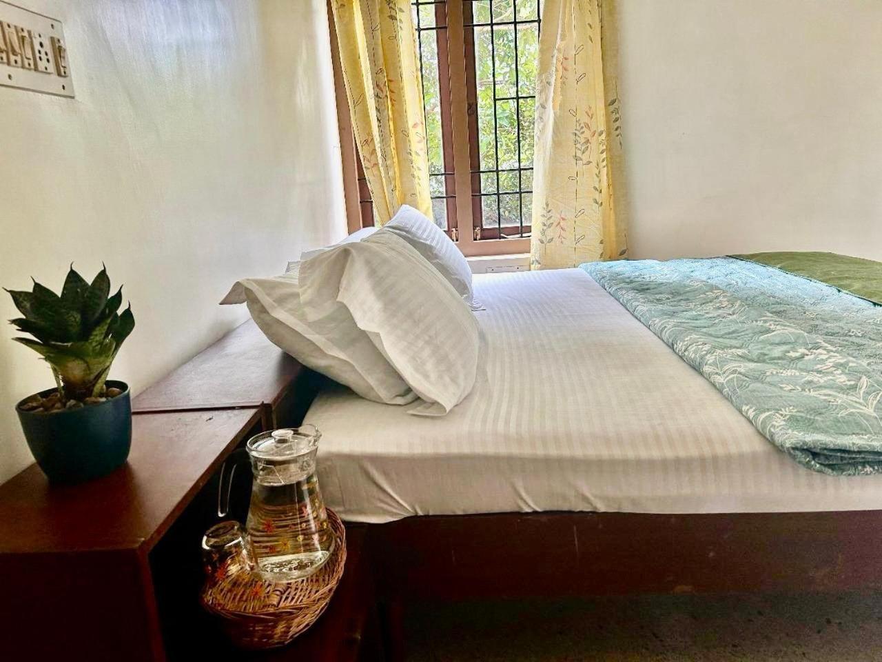Mango Tree Villa Kochi エクステリア 写真